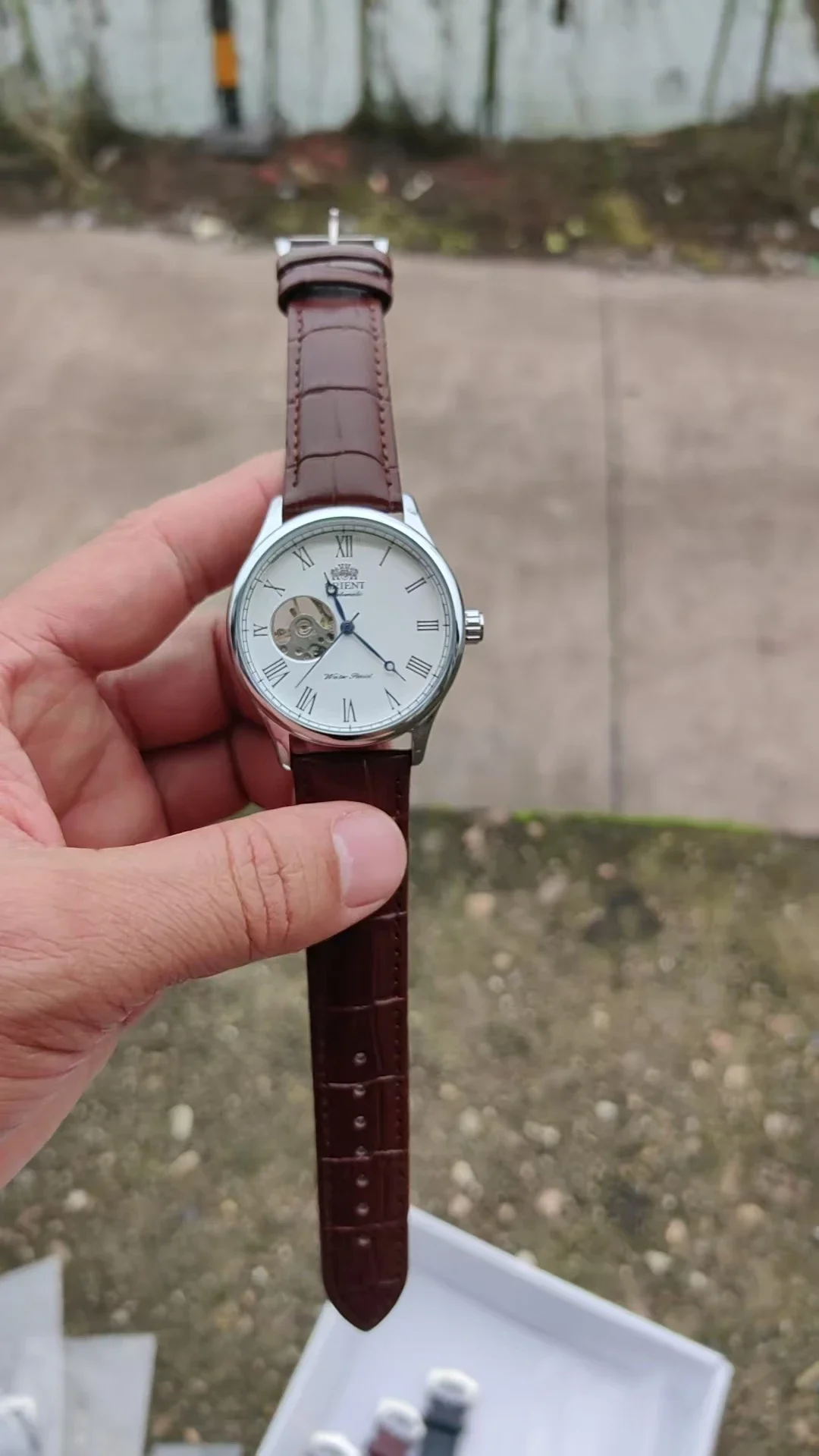 DFDG 기계식 스켈레톤 시계, 모든 기능 탑재, 월드 - Seiko Watch Presage 리뷰 및 가격